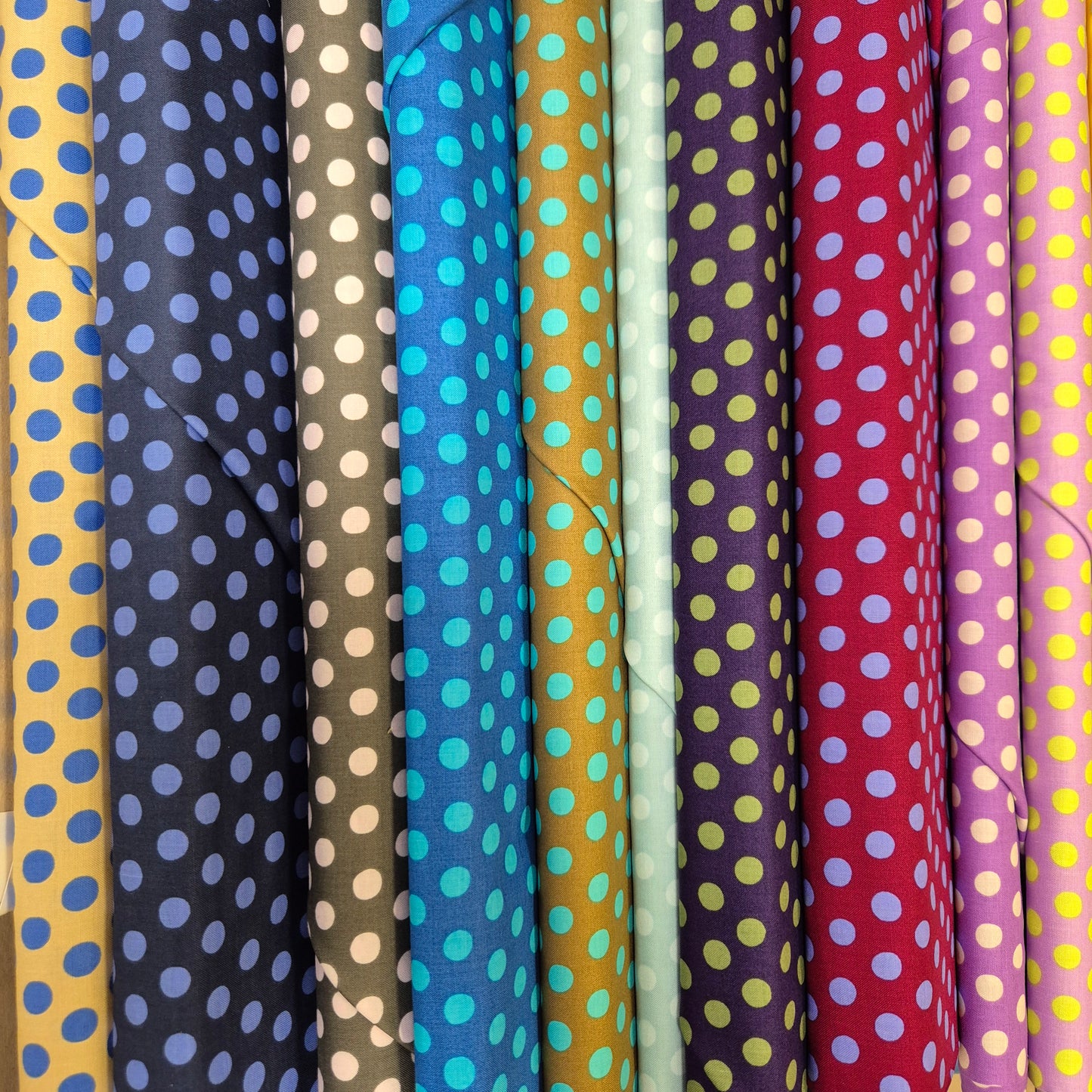 Kaffe Fassett 20 Jelly-Roll-Set - Spot - Punkte Stoff Quiltwerkstatt Dresden