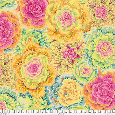 Kaffe Fassett - Brassica Yellow - Classics Stoff Free Spirit