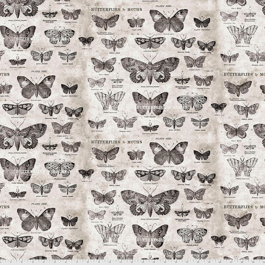 Tim Holtz - Eclectic Elements - Foundations - Butterflies Stoff Free Spirit