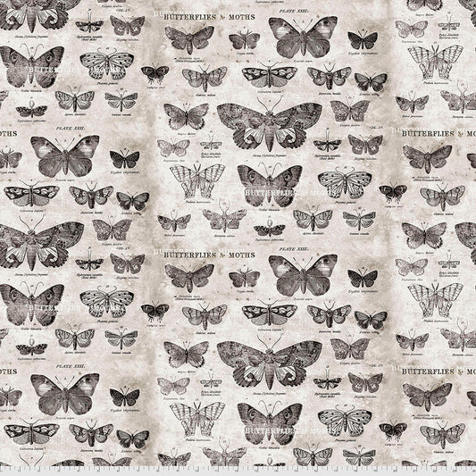 Tim Holtz - Eclectic Elements - Foundations - Butterflies Stoff Free Spirit