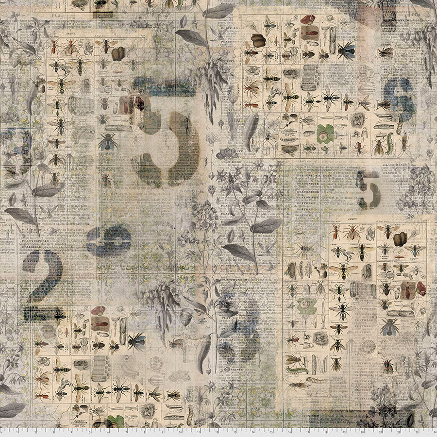 Tim Holtz - Eclectic Elements - Foundations - Entonmology Stoff Free Spirit