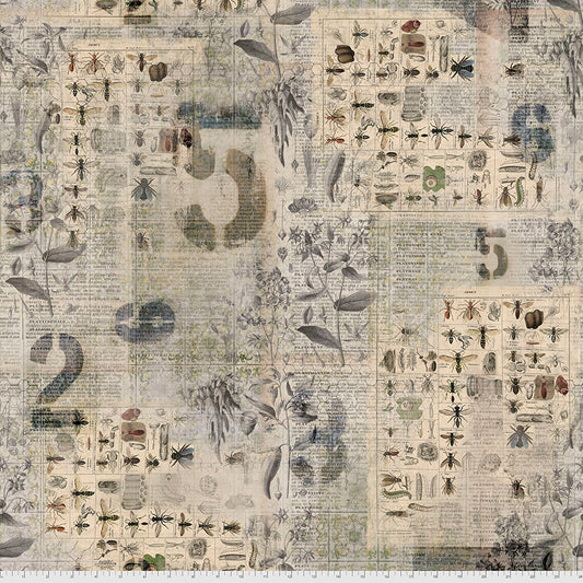 Tim Holtz - Eclectic Elements - Foundations - Entonmology Stoff Free Spirit