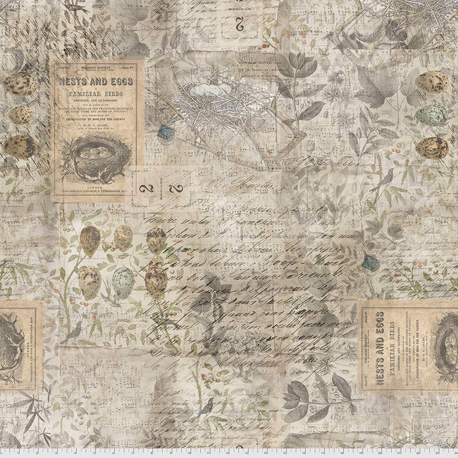 Tim Holtz - Eclectic Elements - Foundations - Eggs and Nest Stoff Free Spirit