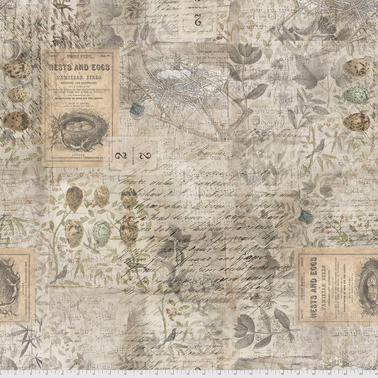 Tim Holtz - Eclectic Elements - Foundations - Eggs and Nest Stoff Free Spirit