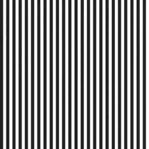 Streifen Stripe 1/4 inch Black - Schwarz Stoff Riley Blake