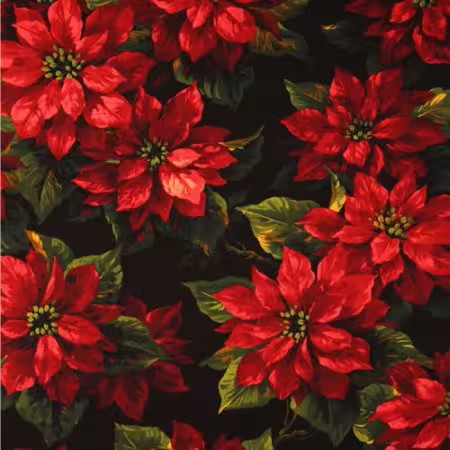 Scarlett Poinsettia Black Stoff Michael Miller Fabrics