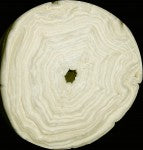 Meterware: Hobbs Heirloom Premium Vlies natur, 244 cm breit Hobbs