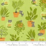 Here Kitty Kitty Pistachio - Stacy Iest Hsu