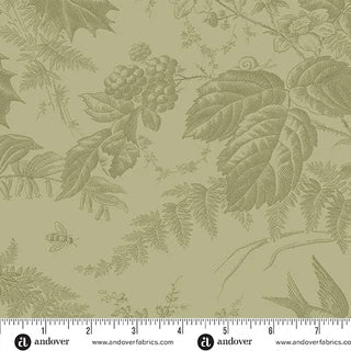Laundry Basket Quilts Edyta Sitar - Vermont - Lichen