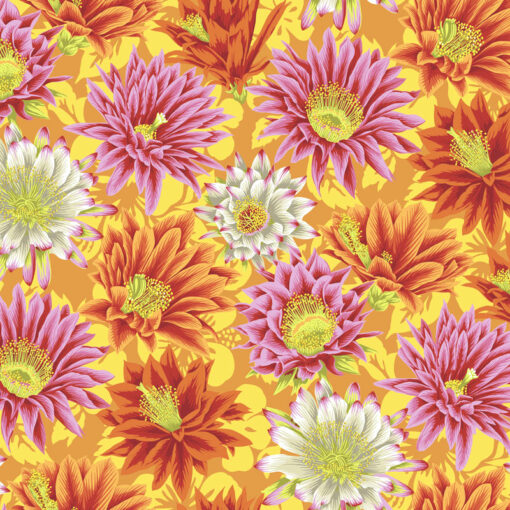 Kaffe Fassett Cactus Flower Yellow