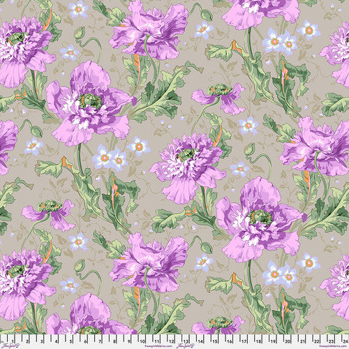 Kaffe Fassett Papaver - Grey