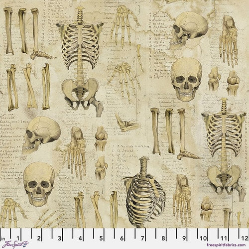 Tim Holtz - Eclectic Elements - Laboratory - Anatomy Neutral